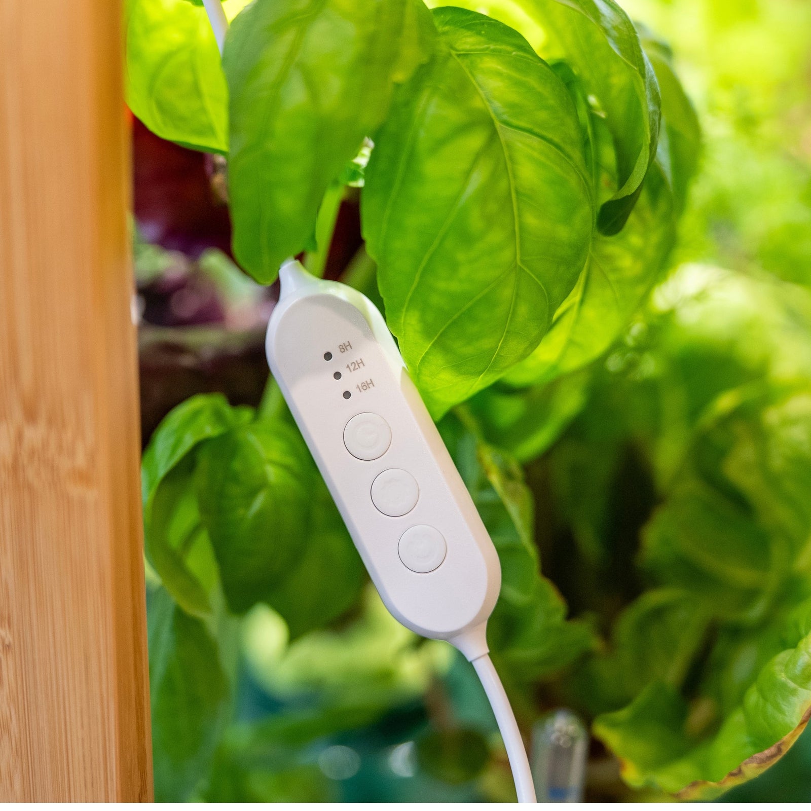 Sun Panel 3 | Full spectrum LED light panels | Clip onto shelves