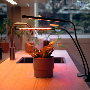 EasyGro LED Grow Light-Home Garden-urbanplantgrowers.com-