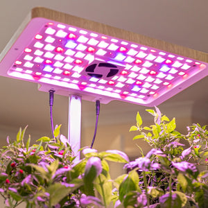 Urban Plant Growers Terra Garden Adjustable height hydroponic smart garden LED grow lights