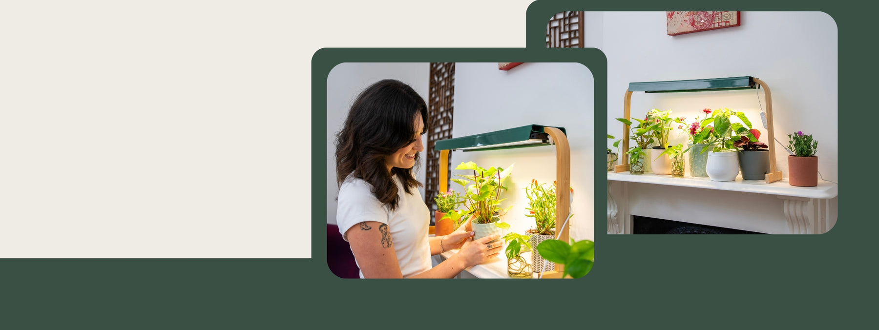 Indoor Grow Lights and Grow Lamps for Plants | gathera UK