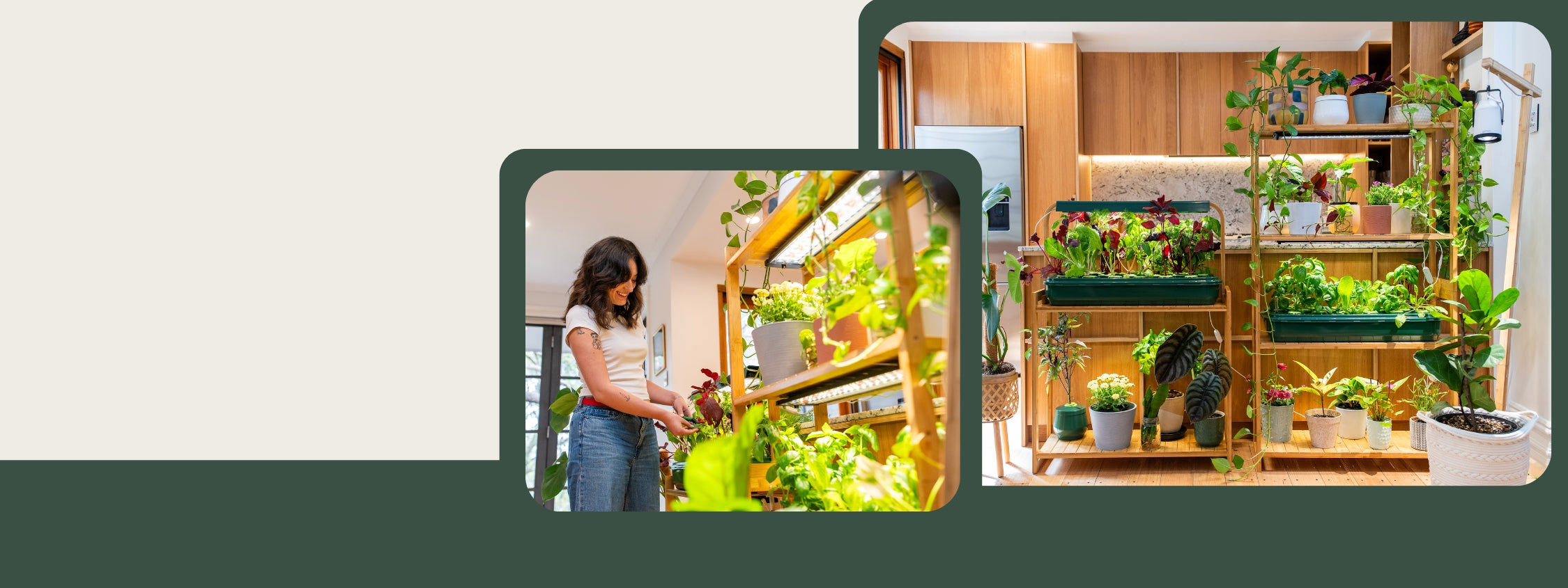 Indoor Grow Lights and Grow Lamps for Plants | gathera UK