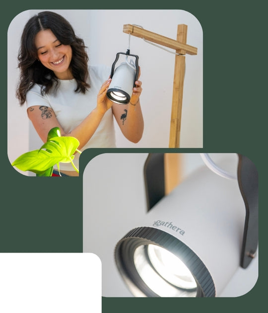 Indoor Grow Lights and Grow Lamps for Plants | gathera UK