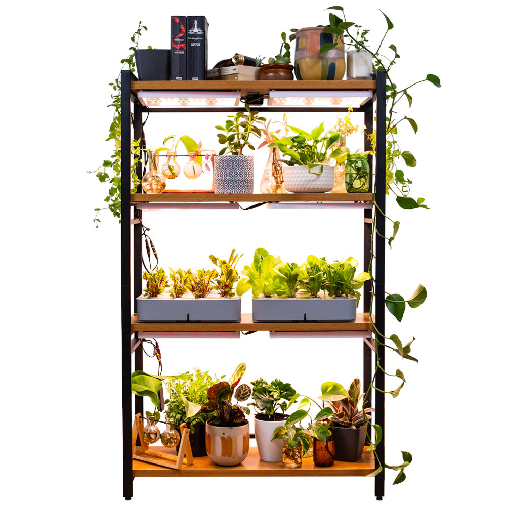 Sun Shelf 2 | Plant shelf with built-in full spectrum LED grow lights