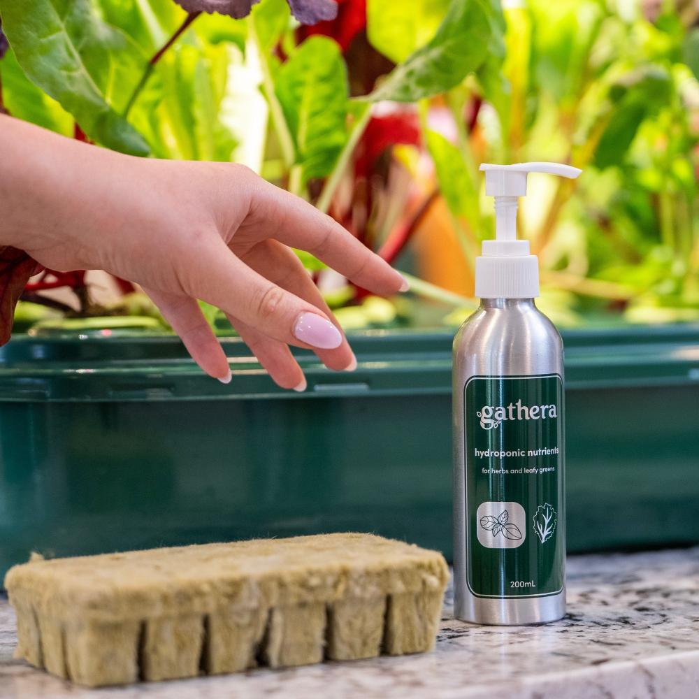 Sun Garden | Indoor hydroponic garden for herbs and leafy greens