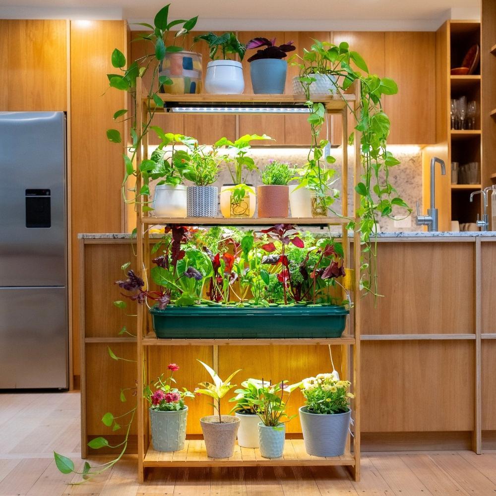 Sun Shelf 3 Plant shelf with built in full spectrum LED grow lights