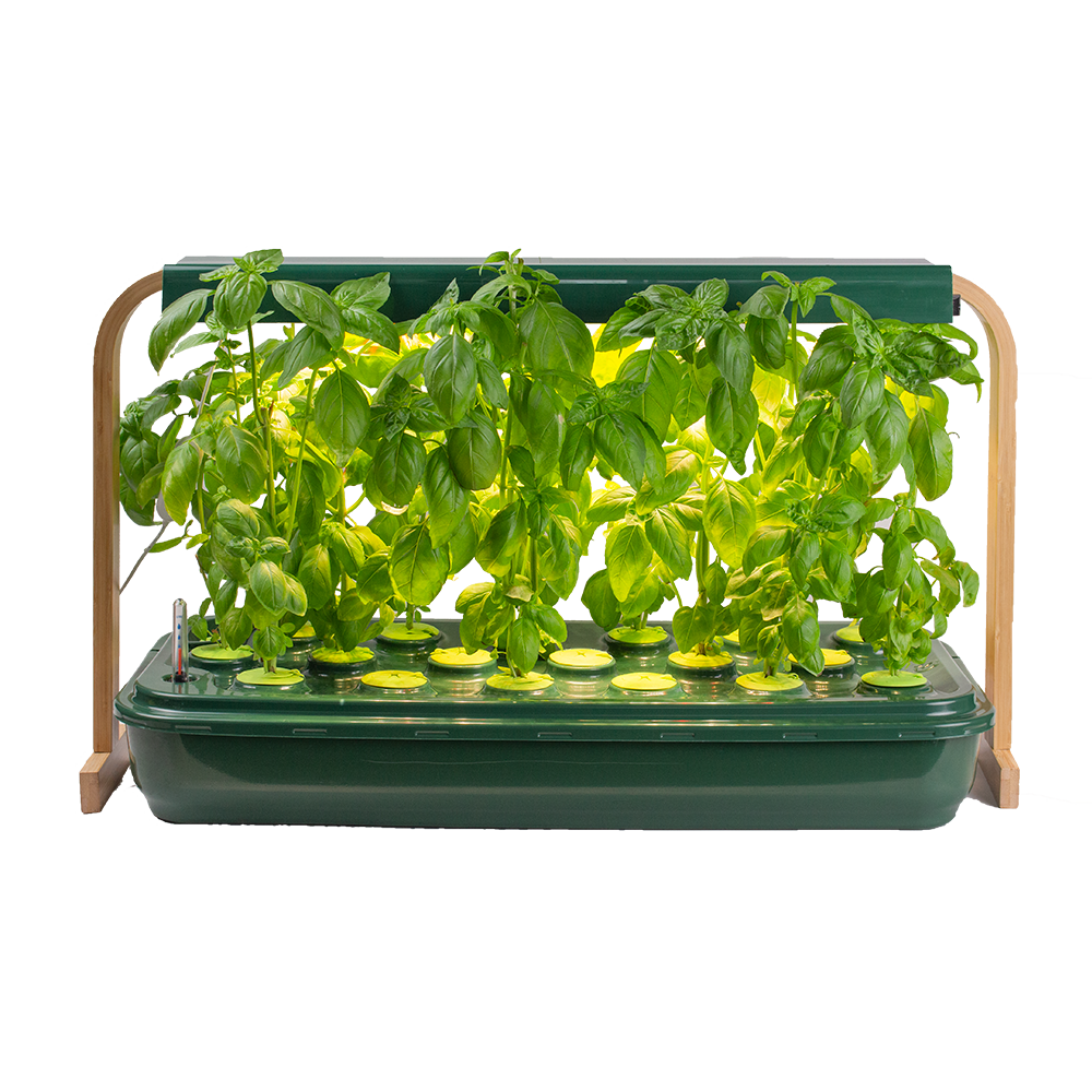 Sun Garden | Indoor hydroponic garden for herbs and leafy greens