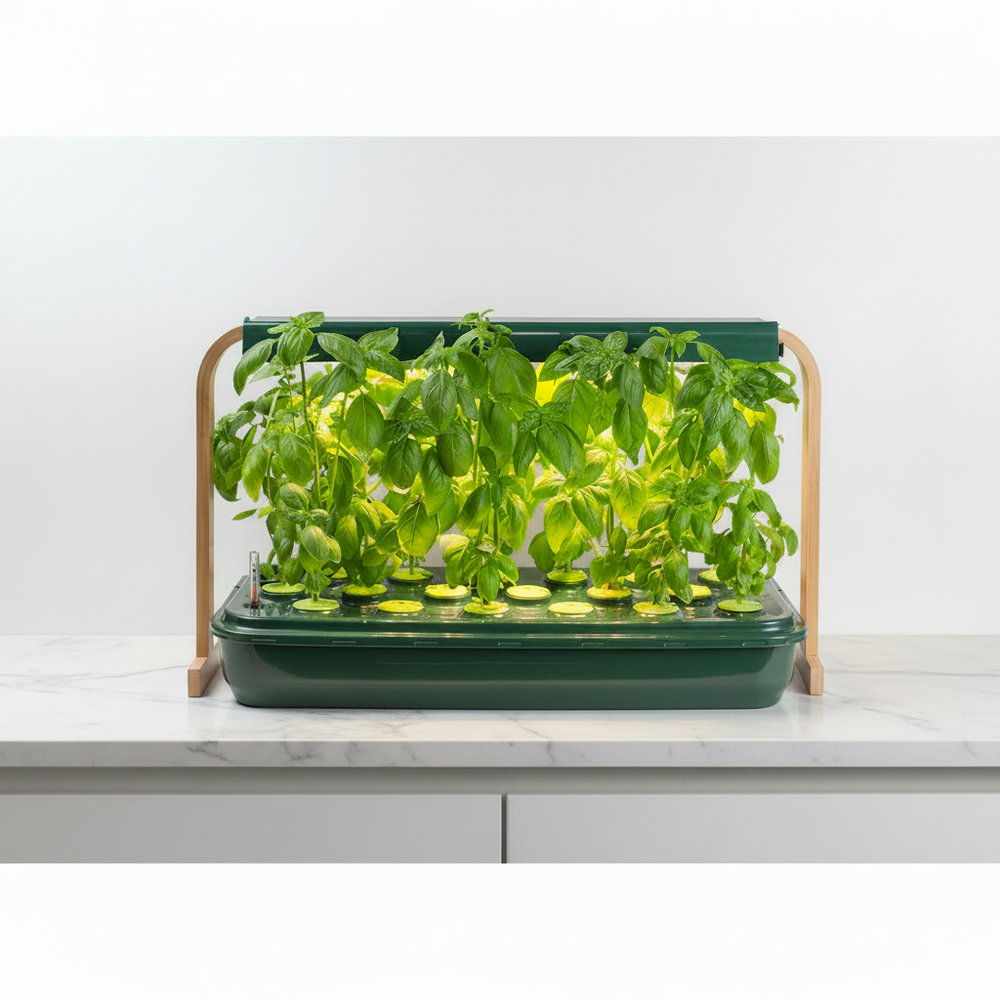 Indoor Herb Gardens | Grow food with hydroponics! - gathera UK