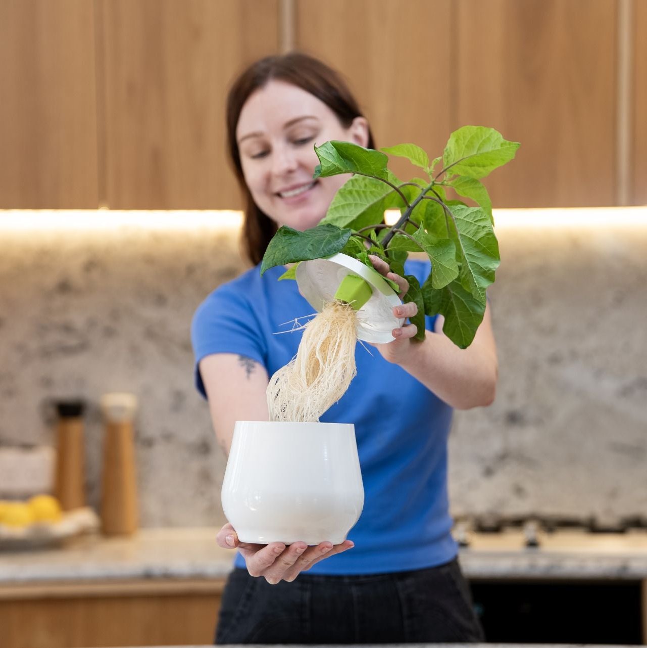 heirloom-planter-kratky-pot-with-chilli-growing-and-roots-being-displayed-by-female-model