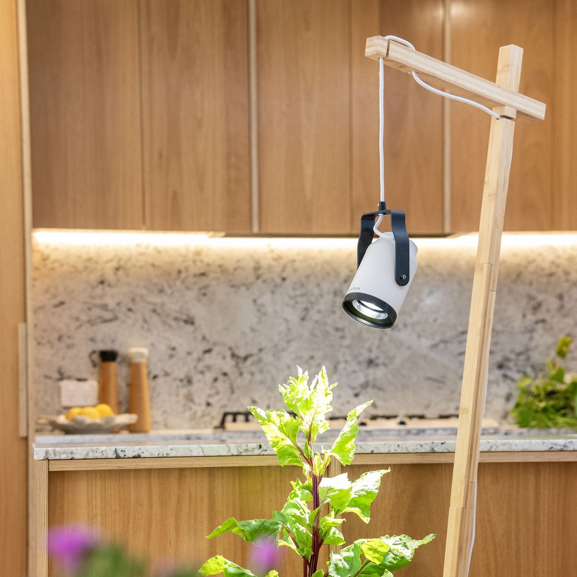 rechargeable grow light for plants Sun Bulb | Full Spectrum LED Grow Light Bulb | Adjustable Lens