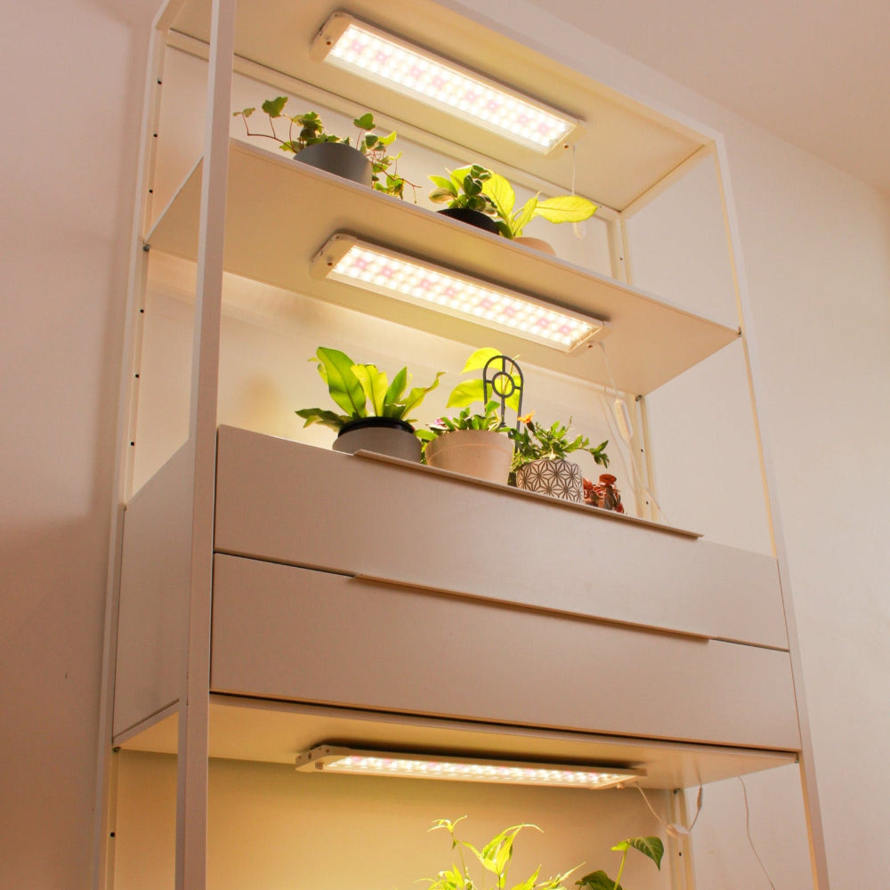 best grow lights for indoor plants uk Full Spectrum LED Grow Light Panels | Clip-on Shelf Lights