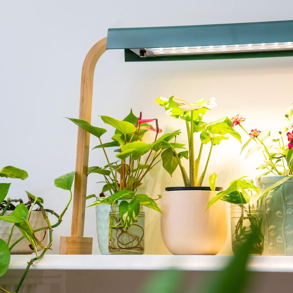 sun patch full spectrum grow light close up image showing diodes