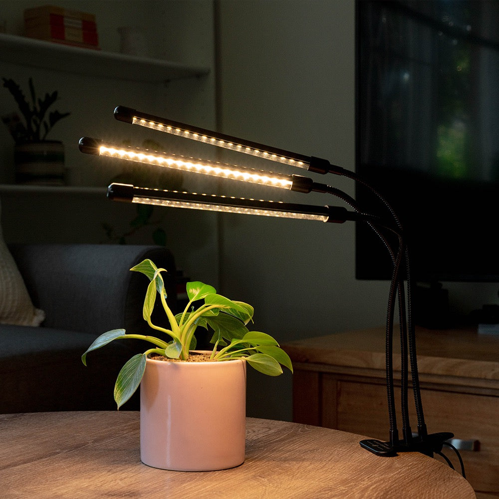 LED Grow Lights UK | Indoor Plant Grow Light - gathera UK