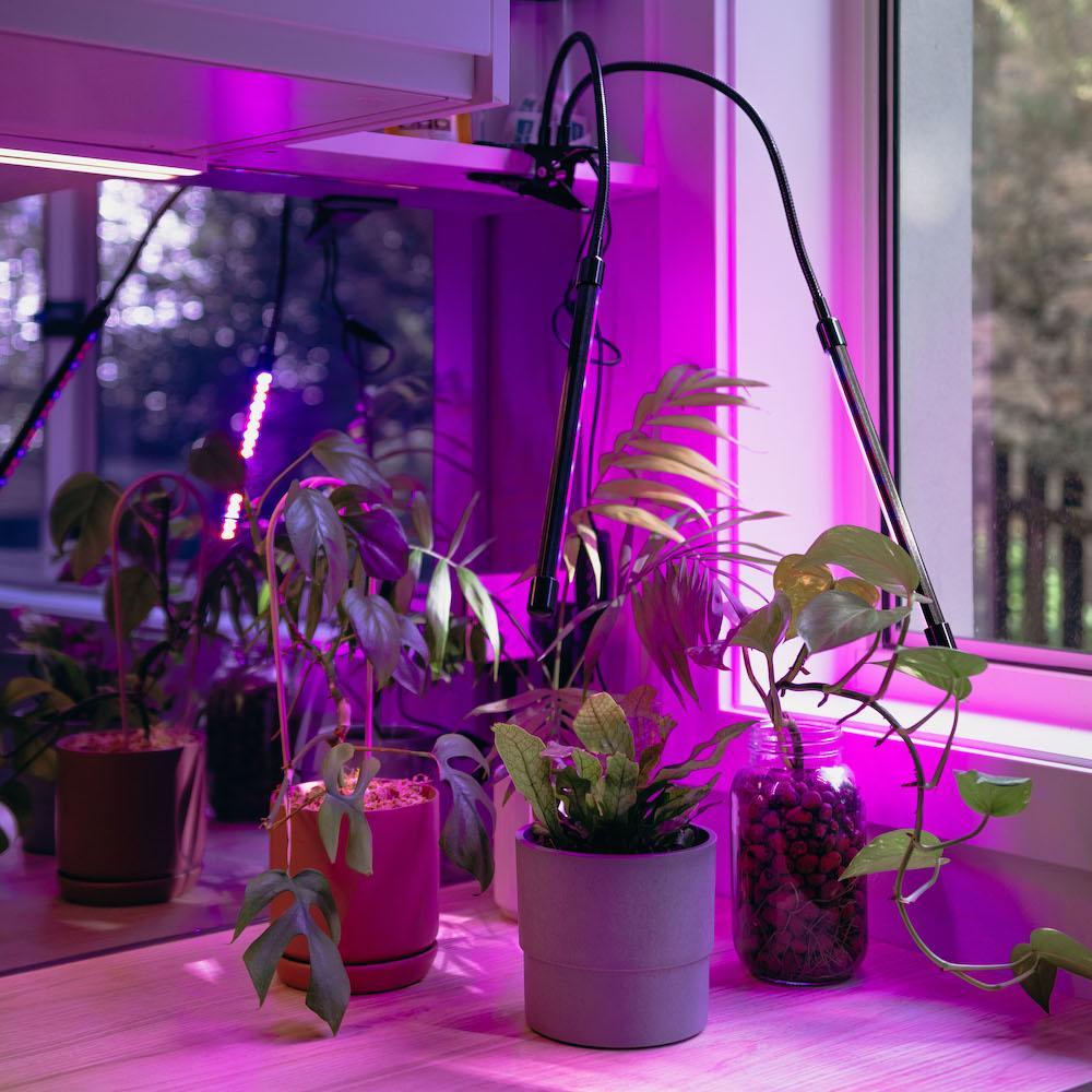 The 10 Best Grow Lights Of 2023, Tested And Reviewed, 49% OFF