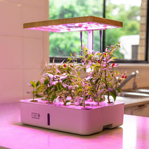 Urban Plant Growers Terra Garden Adjustable height hydroponic smart garden