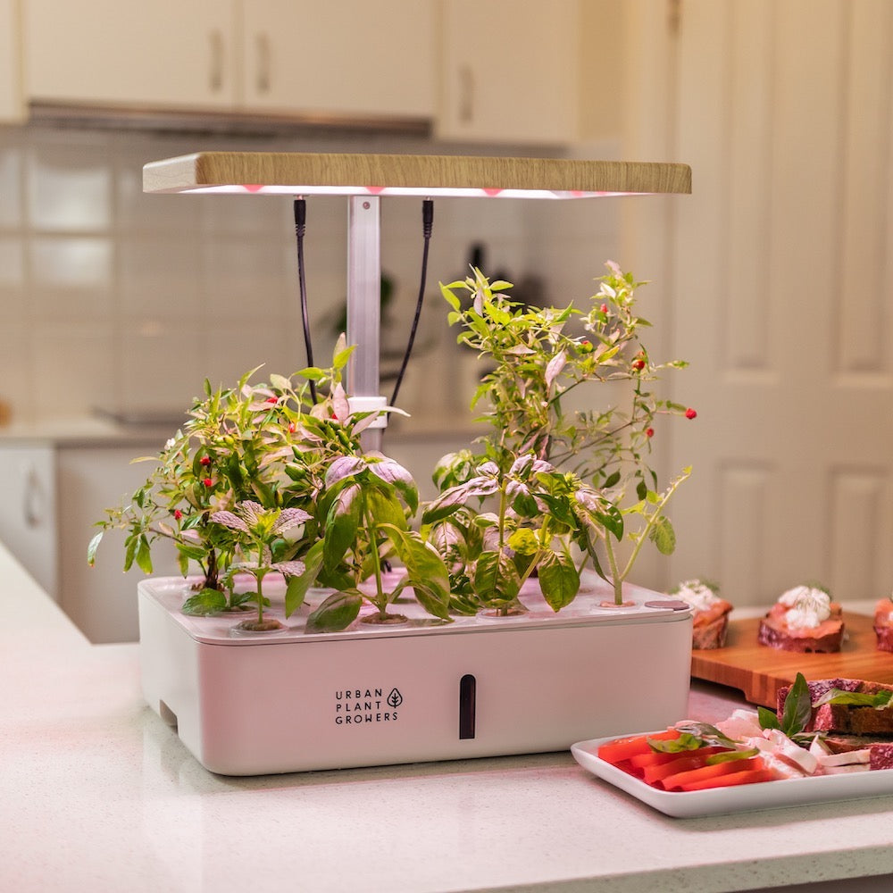 Urban Plant Growers Terra Garden Adjustable height hydroponic smart garden growing food